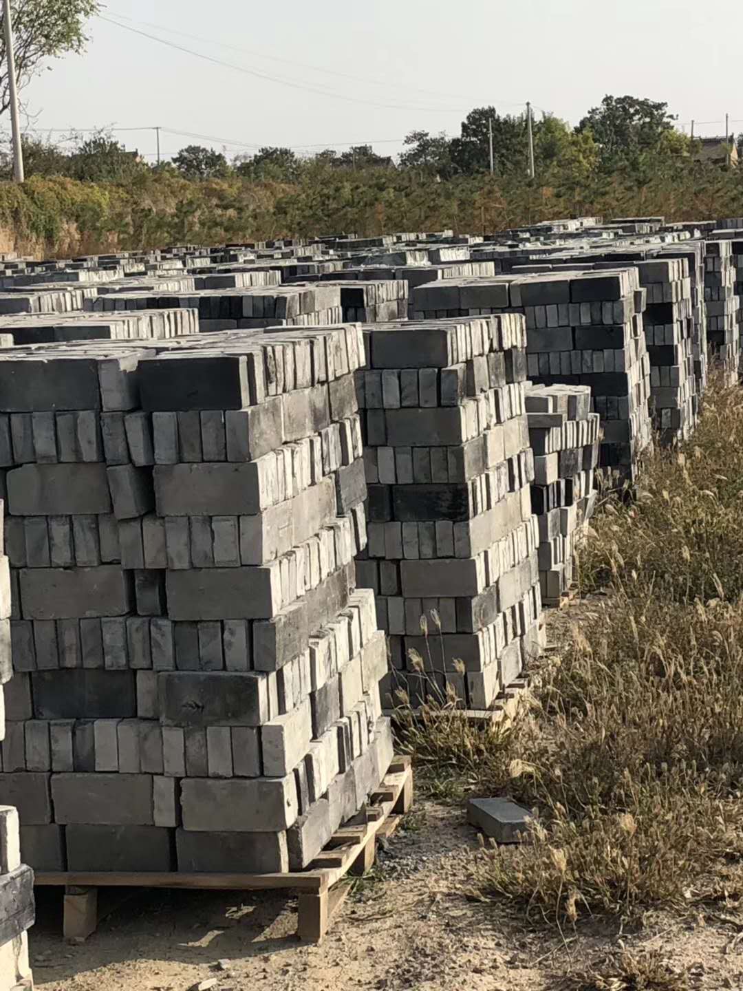 398851817c58e0fcb10b6ce97625895.jpg