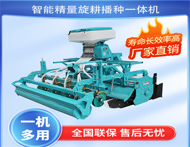 2af419ab-fb62-41aa-8e69-45d3951dc543.jpg